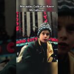 home alone kevin mccallister tik