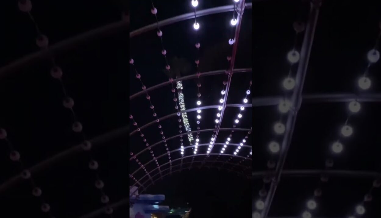 seaworld helicopter crash video