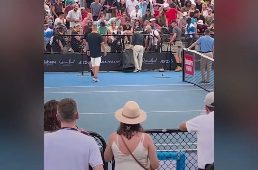  Snake interrupts tennis dominic thiem match at brisbane