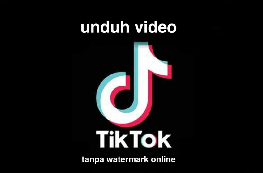  unduh video tiktok tanpa watermark online