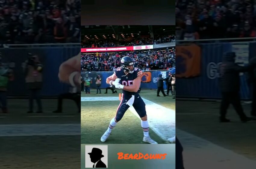  Video : Chicago Bears cole kmet