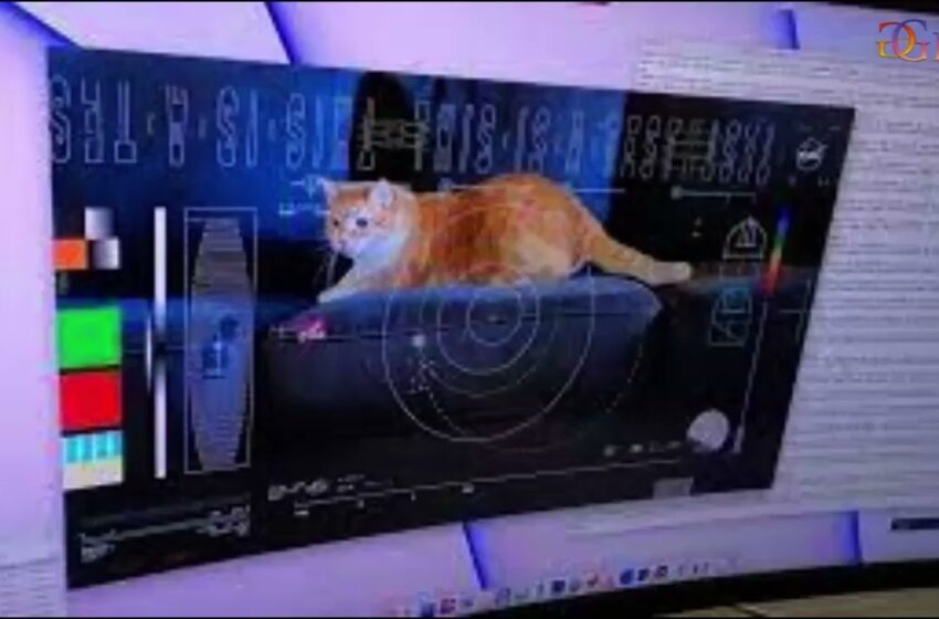  Video : NASA just beamed back a cat video from space using a laser