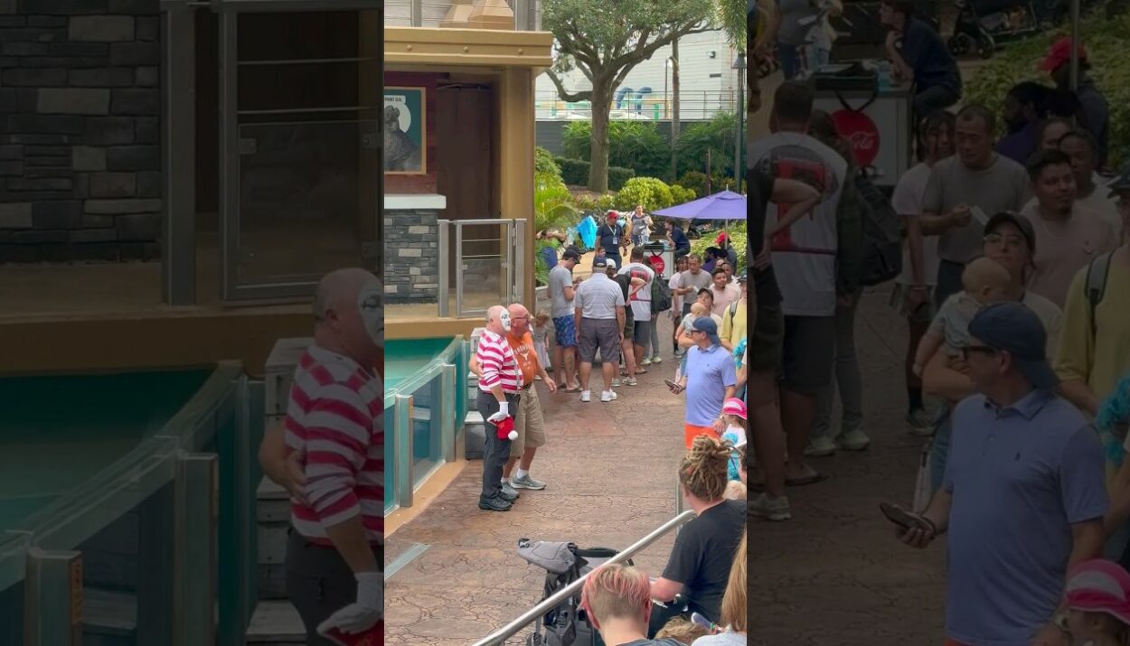 video tom rhe famous seaworld mi