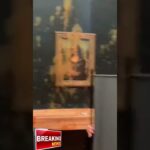 activists throw soup on mona lis