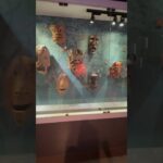 full video museum asli indonesia