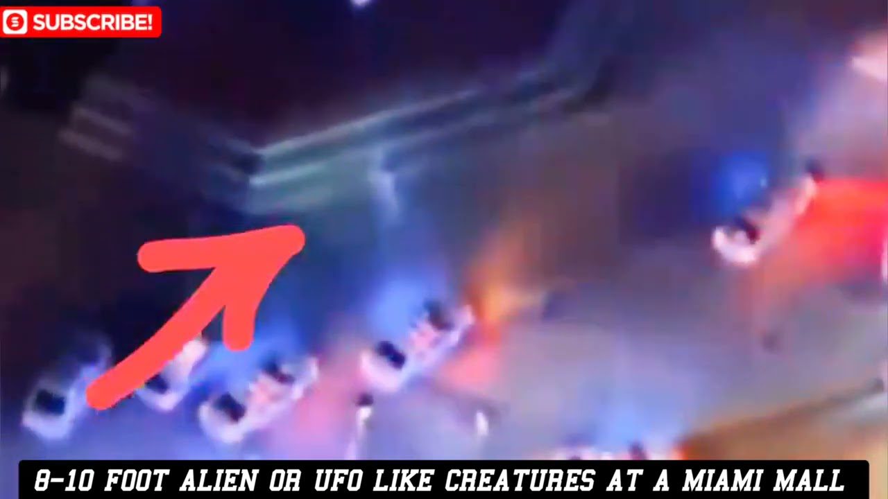 miami mall alien video