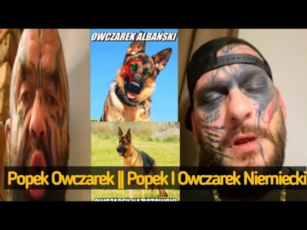 popek psy full video