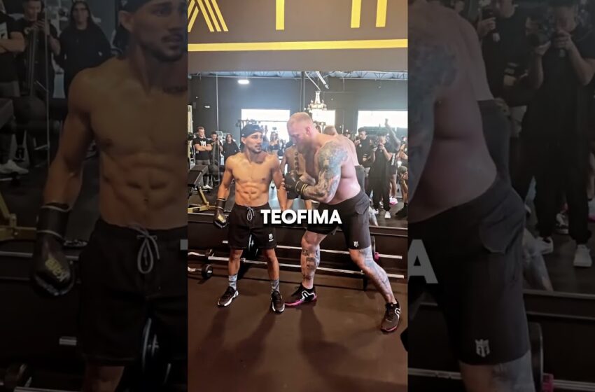  bodybuilder vs boxer in the gym video