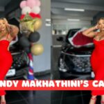 cindy makhathini ceiling trend