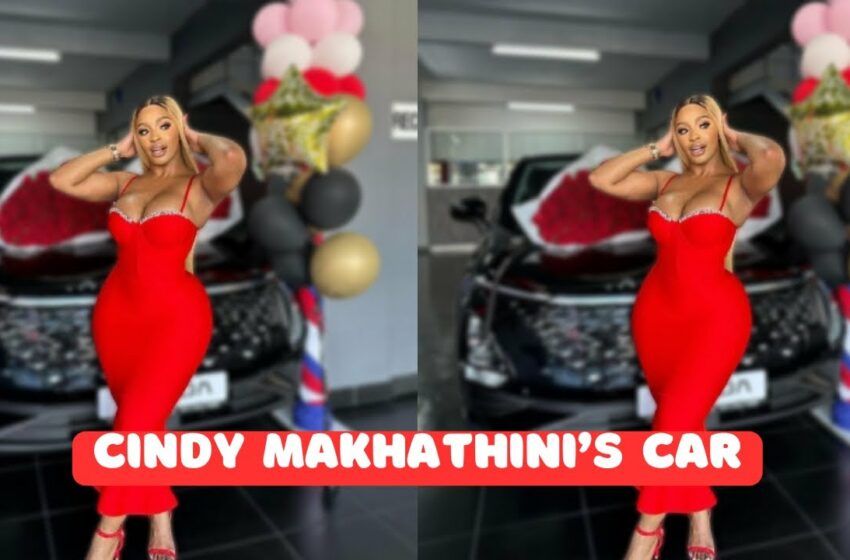  cindy makhathini ceiling trend