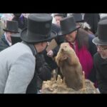 groundhog day video