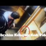 ibrahim keloglan kedi video