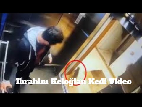  ibrahim keloğlan kedi video