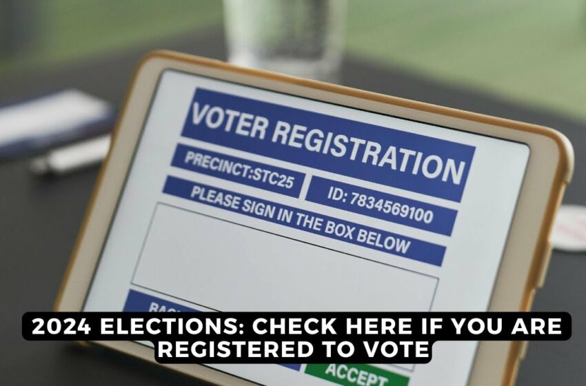  iec voter registration south africa 2024