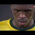 rowan williams bafana bafana