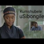 sibongile and the dlaminis 12 fe