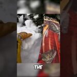 skier saves snowboarder full vid