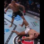 dustin poirier vs saint denis fu