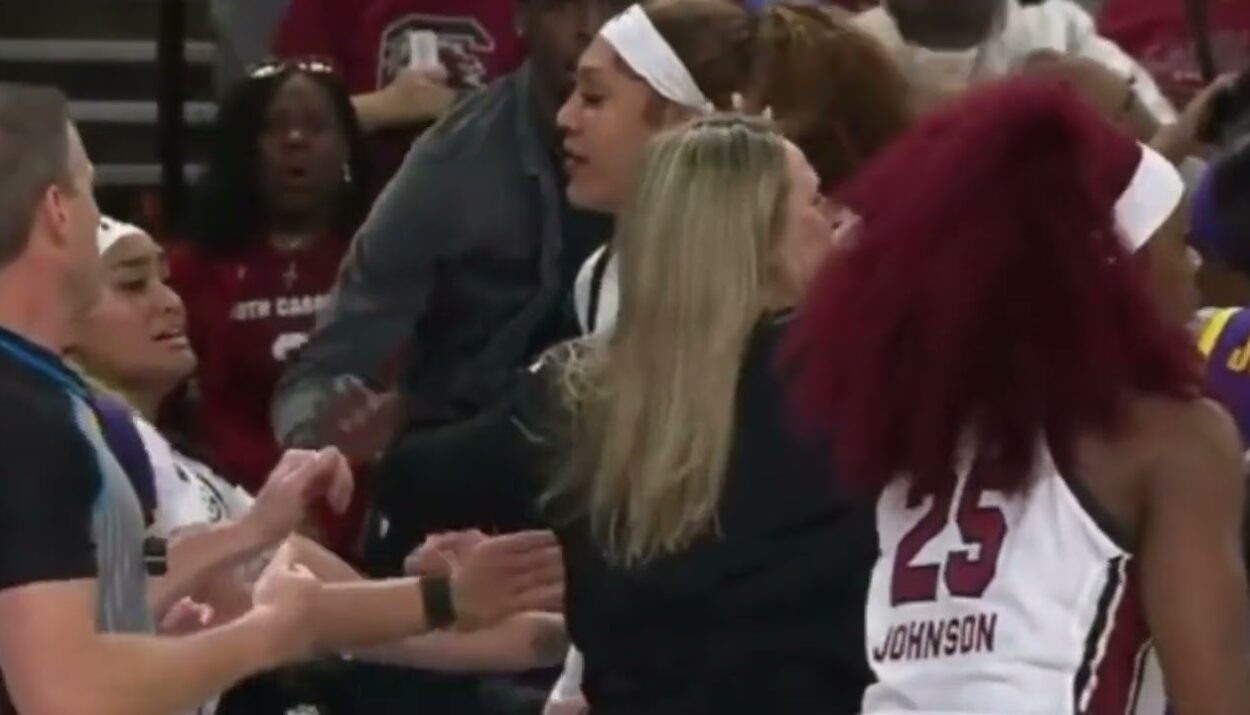 lsu vs south carolina fight vide