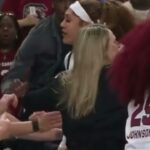 lsu vs south carolina fight vide