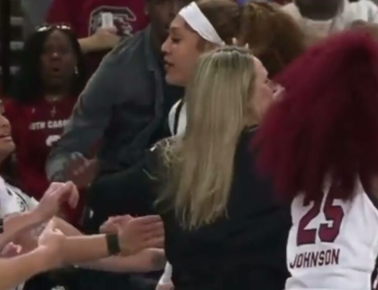 lsu vs south carolina fight vide