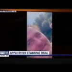apple river stabbing reddit vide