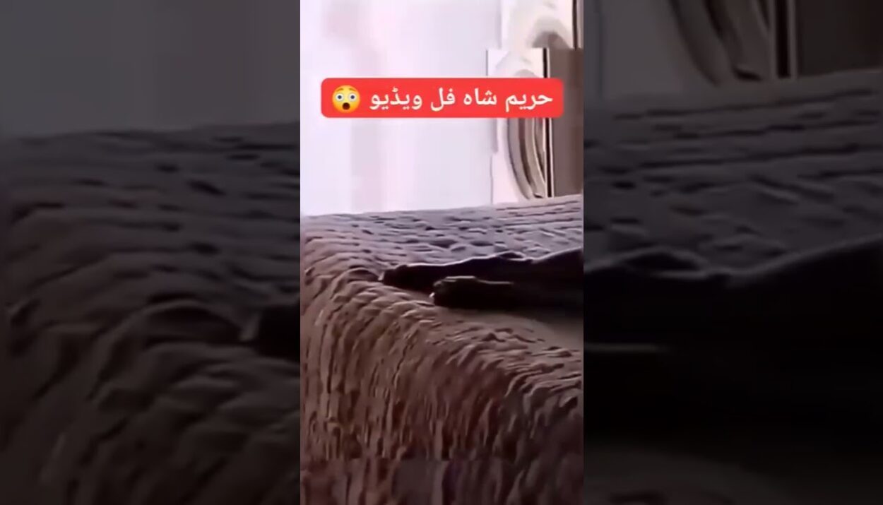 hareem shah leaked video