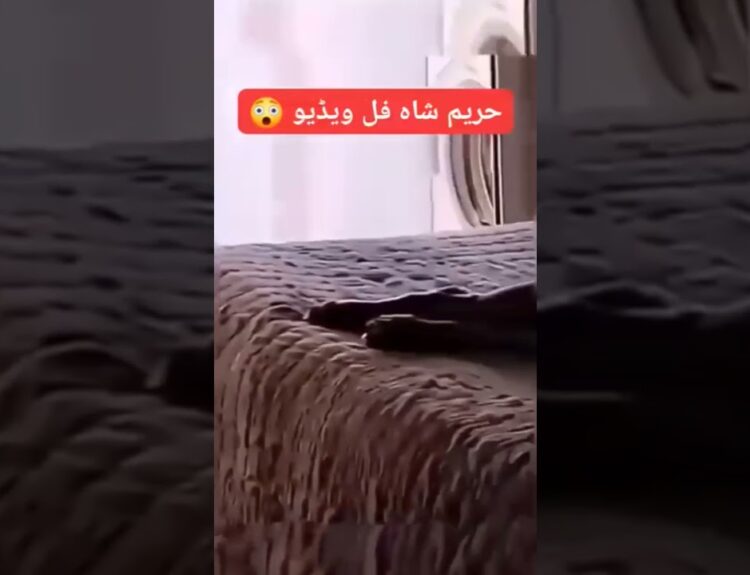 hareem shah leaked video