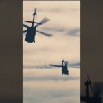 nato treaty hawaii