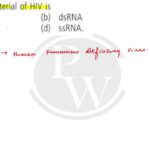 quiz the genetic material of hiv