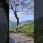 taiwan earthquakes taipei video