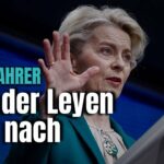 cdu csu verbrenner verbot