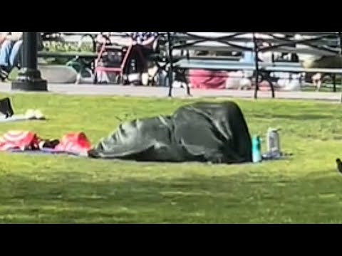  Couple Caught Under a Blanket in NYC Park reddit video