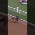 kentucky derby 2024 video
