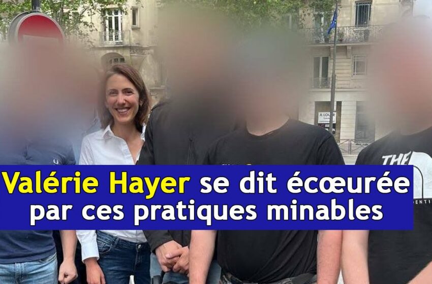 La photo de Valérie Hayer avec des militants néonazis révolte les oppositions