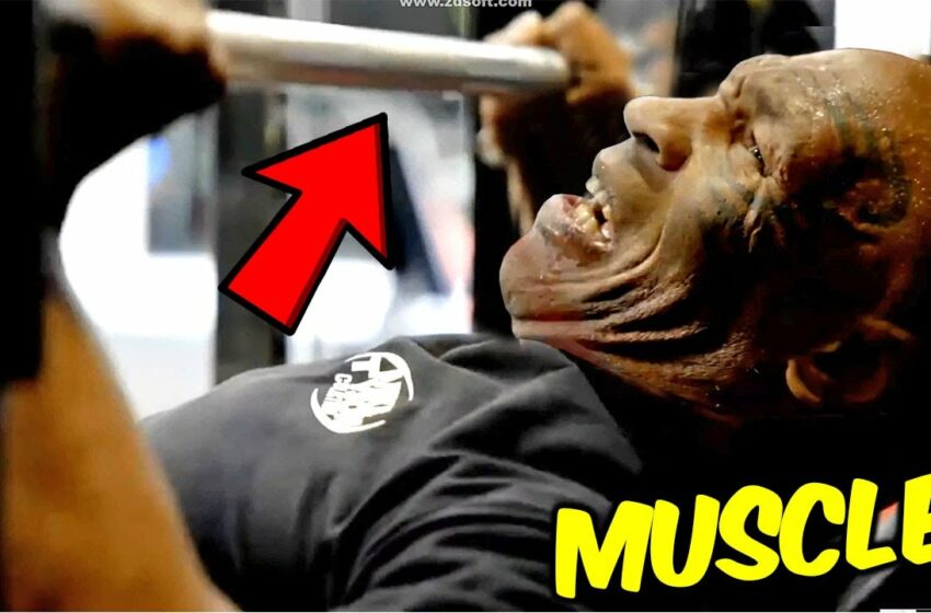  MIKE TYSON STRENGTH TRAININING FOR BOXING COMEBACK 2024