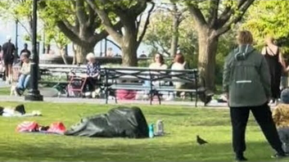 nyc park couple under blanket video