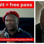 EFF’s Marshall Dlamini gets slap on wrist for assault conviction