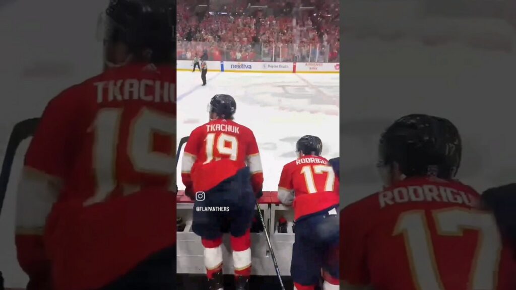 florida panthers reddit video