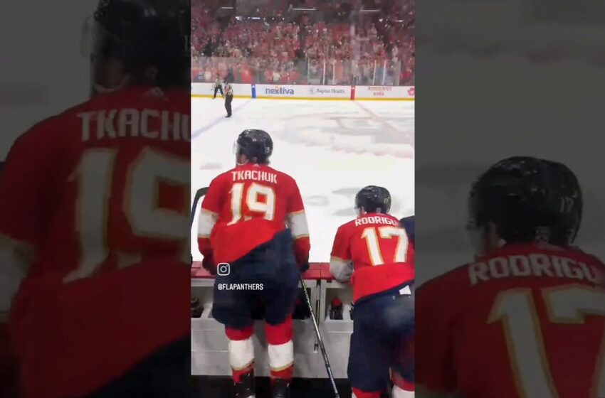  florida panthers reddit video