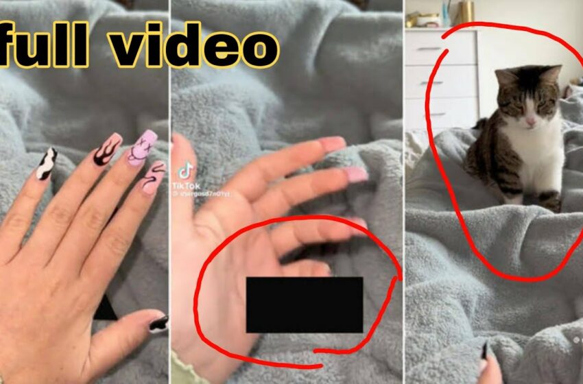  gosd7n01yj new nails kitty video