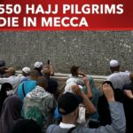 hajj 2024 over 550 pilgrims die