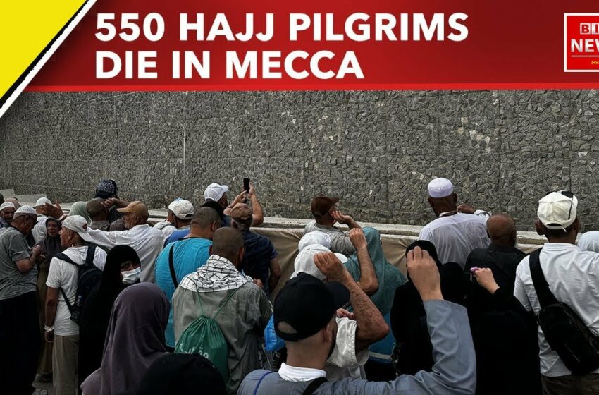  Hajj 2024 : Over 550 pilgrims die in Mecca as temperatures exceed 50C