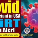 kp 3 covid variant symptoms 2 kp 3 covid variant symptoms