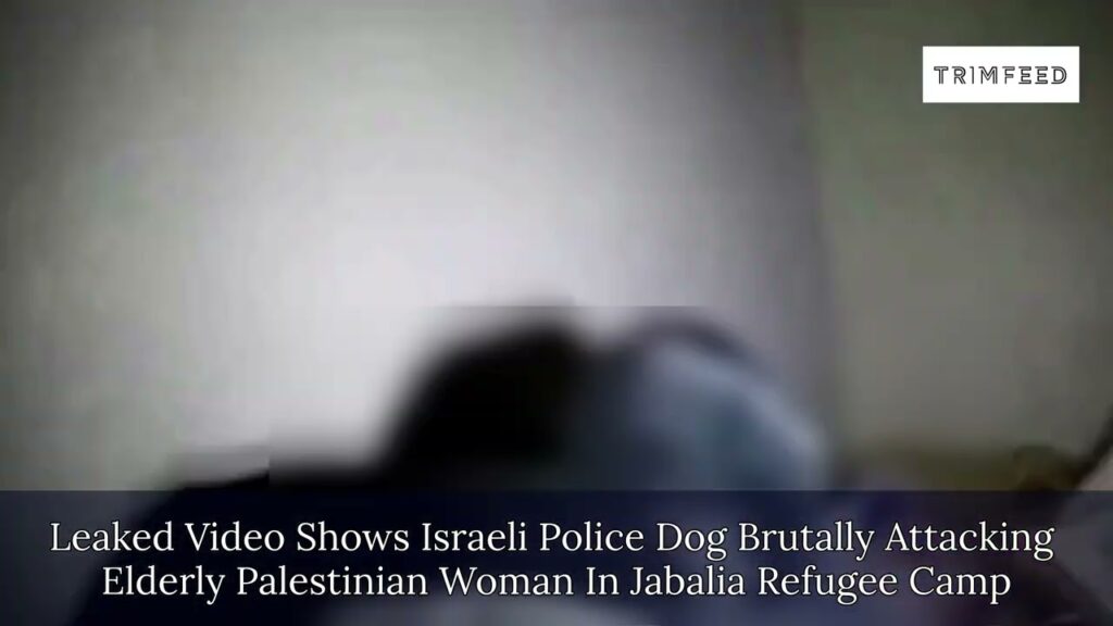 leaked video shows israeli polic Leaked Video Shows Israeli Police Dog Brutally Attacking Elderly Palestinian Woman
