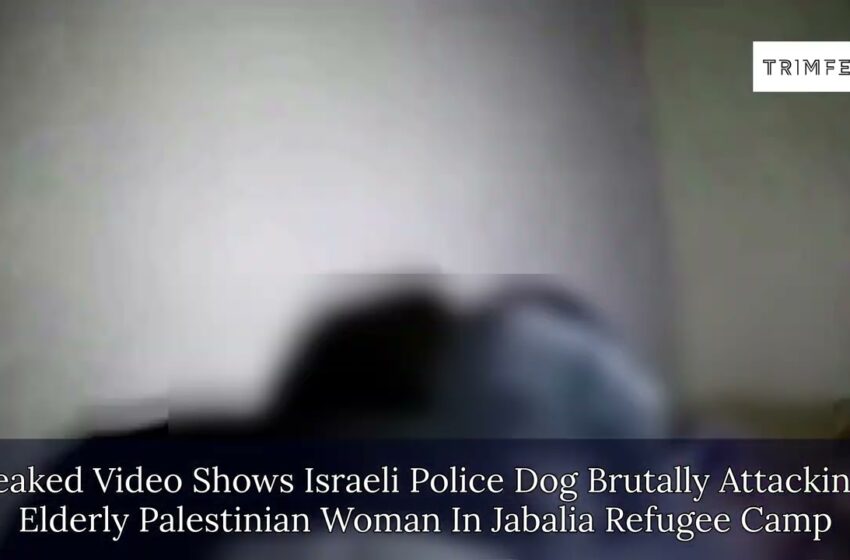  Leaked Video Shows Israeli Police Dog Brutally Attacking Elderly Palestinian Woman