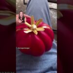 loewes tomato clutch inspired by