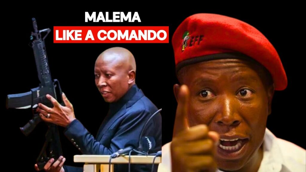 malema gun video