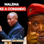 malema gun video