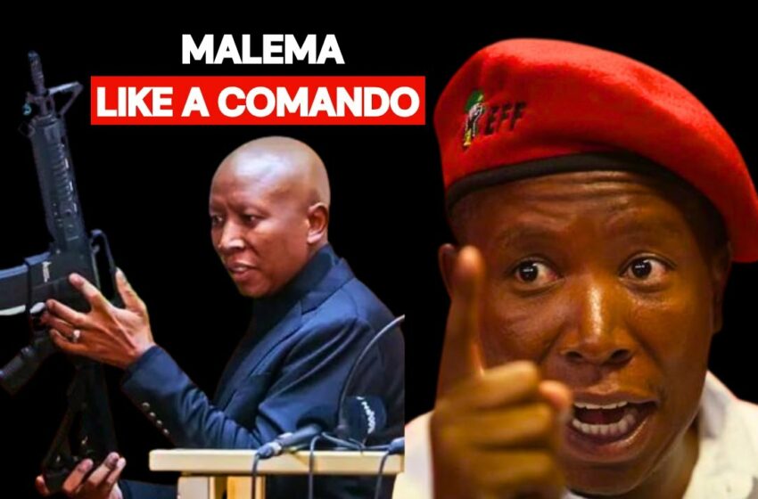  malema gun video